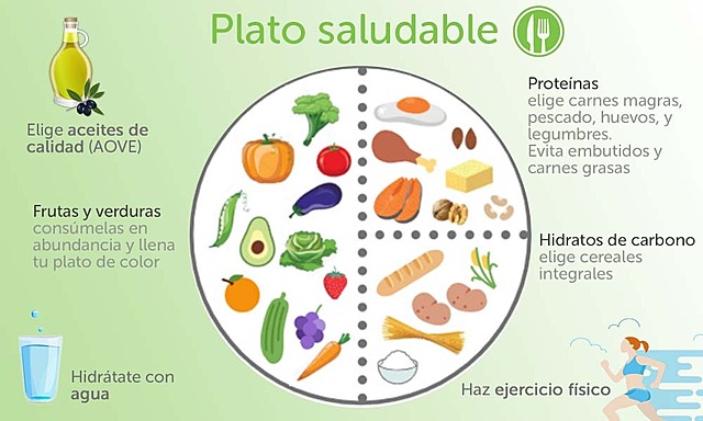 Plato Saludable