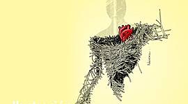 Timeline: Mi plan de desarrollo