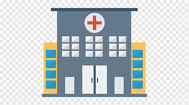 El éxito de mi carrera y formación de mi familia