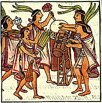 The Aztecs and Incas (Mesoamerican Empires) ((1300's-1533))