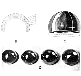 APARICIÓN DE NUEVOS MATERIALES COMO EL VITALIUM