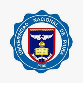 Mi proceso universitario