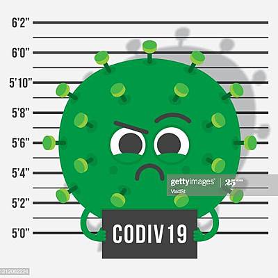 Timeline: "Mi línea de tiempo"
