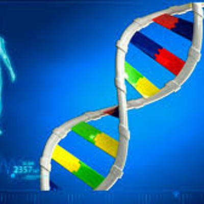 Timeline: Historia de la genetica