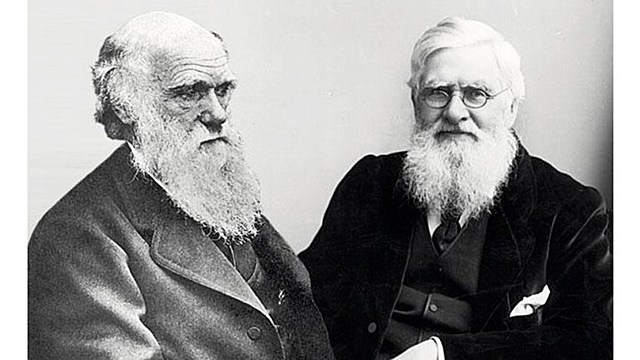 Darwin y Wallace
