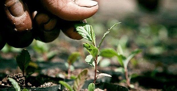 Aprobación de la Ley General: