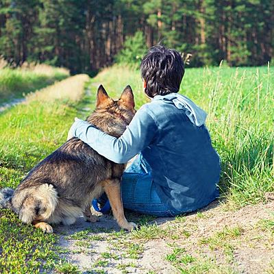 Timeline: Evolución jurídica de las relaciones humanas con los animales