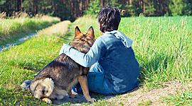 Timeline: Evolución jurídica de las relaciones humanas con los animales