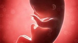 Timeline: Magzati kommunikáció