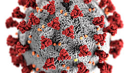 Timeline: Cronologia covid-19