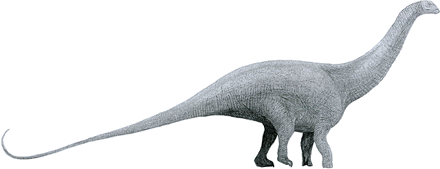 Brontosaurus (extinto)