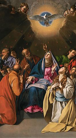 6. Recibiendo la fuerza