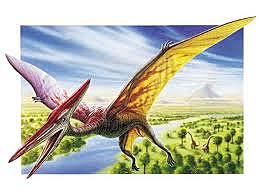 Pterodactylus (extinto)