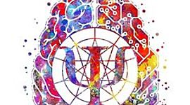 Timeline: Cronología