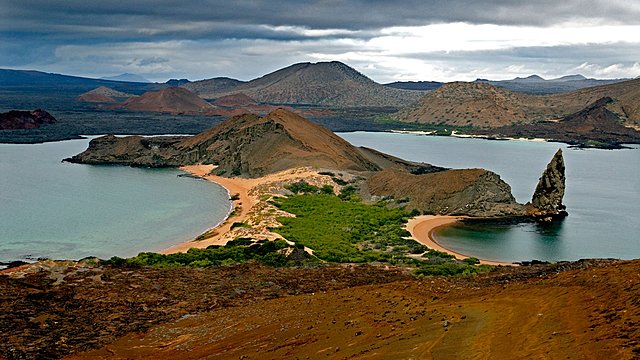 The Galapagos Islands