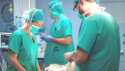 Ejecución de mi carrera