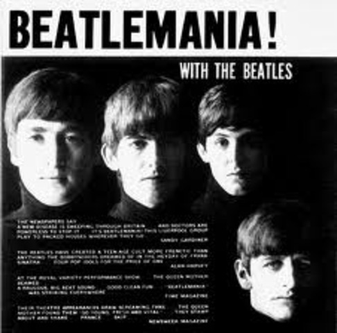 Beetles Become Popular in the U.S,