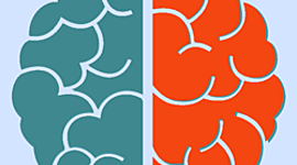 Timeline: Cronología de la psicología