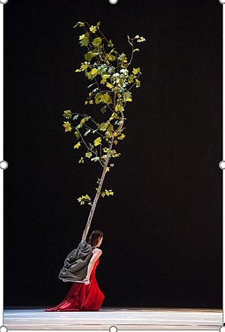 Pina Baush y la danza teatro