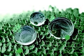 PRIMERA FIBRA DE VESTIR NANOTECNOLOGICA