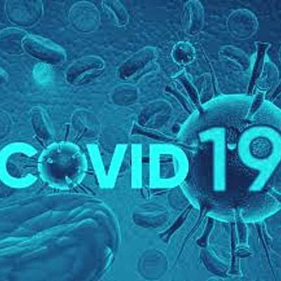 Timeline: Coronavirus dentro del cuerpo humano