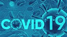 Timeline: Coronavirus dentro del cuerpo humano