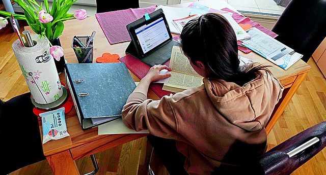 Estudios complementarios