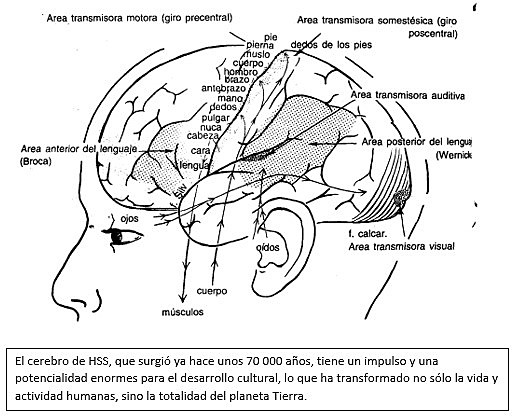 Homo sapiens sapiens