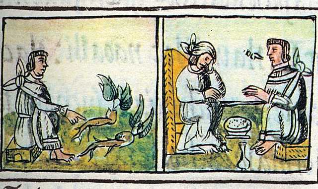 Terapéutica Prehistórica