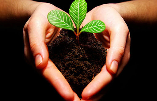 Ley de la Responsabilidad Civil por Daño y Deterioro Ambiental del Estado de Tabasco