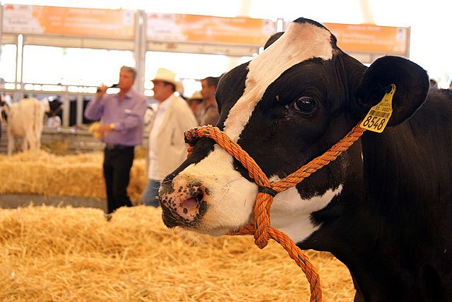 Ley de Desarrollo Pecuario del Estado de Tabasco