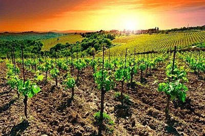 Ley Agrícola para el Estado de Tabasco