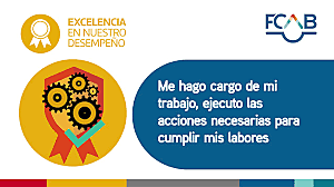 Excelencia en el desempeño