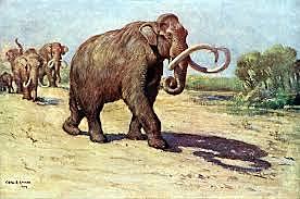 Extinción del mamut colombino