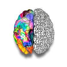 NEUROCIENCIA DEL APRENDIZAJE: (XVIII)