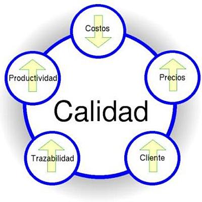 Timeline: Historia de la calidad