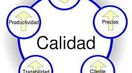 Timeline: Historia de la calidad