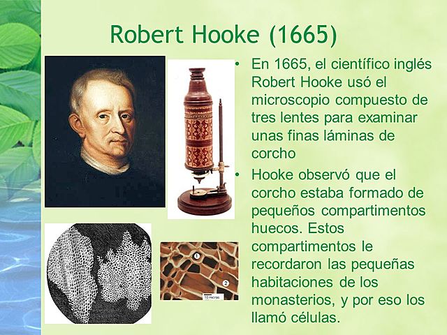 1667, Robert Hooke
