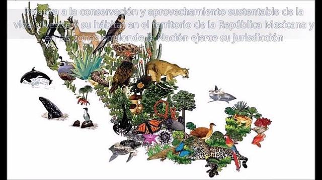 Ley General De la Vida Silvestre En México