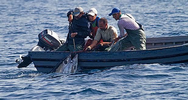 Ley General De Pesca y acuacultura Sustentable En México