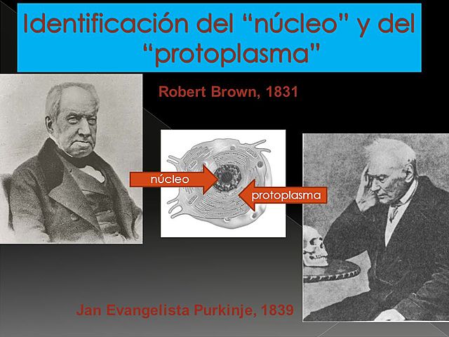 1839 Jan E. Purkinje