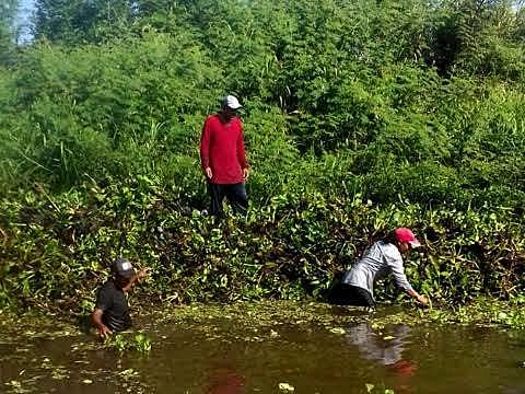 Ley de protección ambiental en el estado de Tabasco