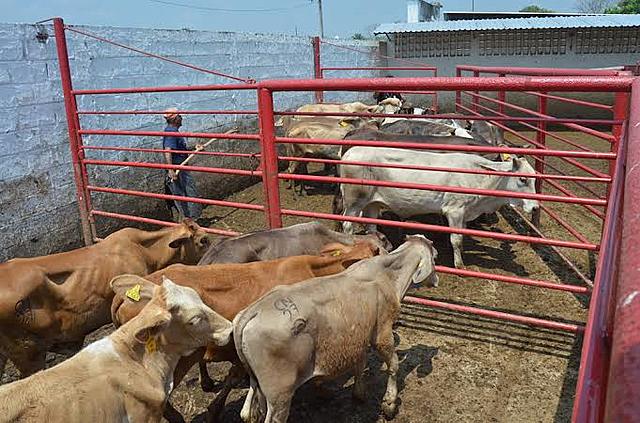 Ley de Desarrollo Pecuario del estado de Tabasco.