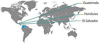 TLC TRIANGULO DEL NORTE. SALVADOR/GUATEMALA/HONDURAS