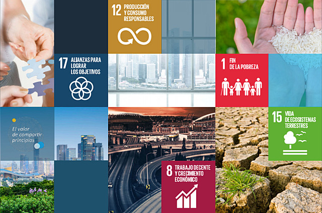 excelencia de desempeño