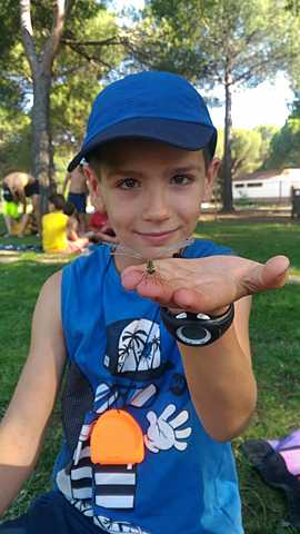 Gaztelekuko udako txangoak.