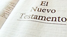 Timeline: "Paula Lema - Línea Bíblica N.T"