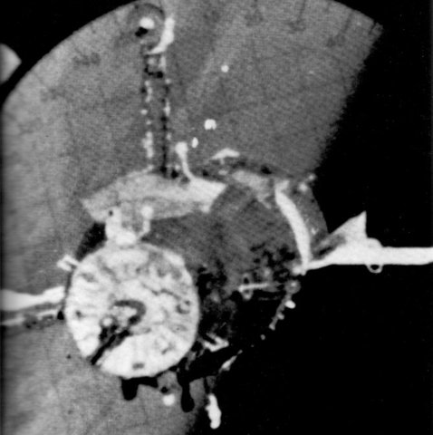 Soyuz 4 & 5 perform the first Soviet spacecraft docking.