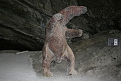 Extinción del Milodón