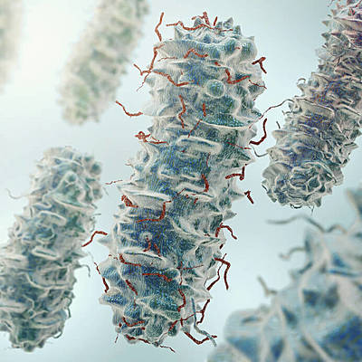 Timeline: HISTORIA DE LA PARASITOLOGIA- POR SHEILA NADJAR Y DILAN LOPEZ